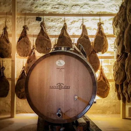 Hotel Domaine De Saint-gery - Teritoria 4*