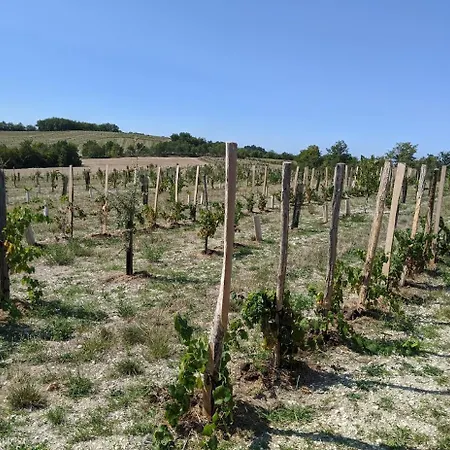 Hotel Domaine De Saint-gery - Teritoria Lascabanes