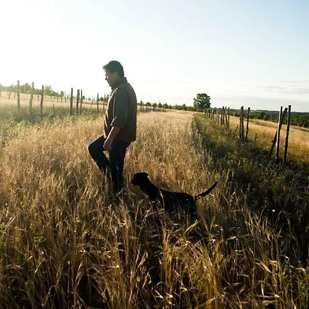 Domaine De Saint-gery - Teritoria Hotel 4*