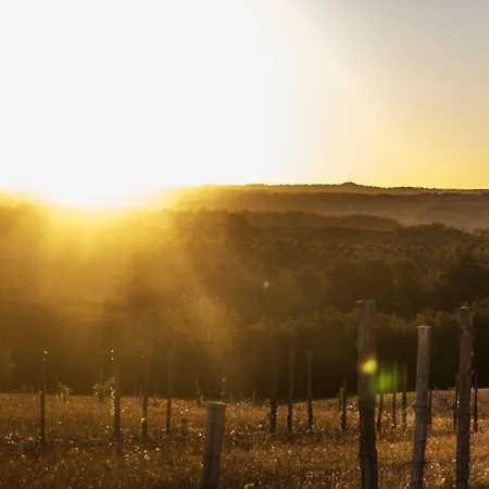 Hotel Domaine De Saint-gery - Teritoria Lascabanes