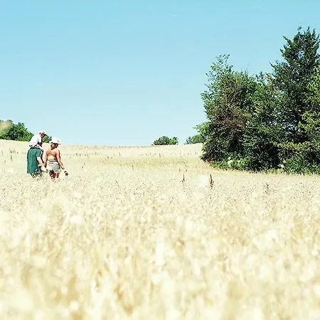 Domaine De Saint-géry 4*