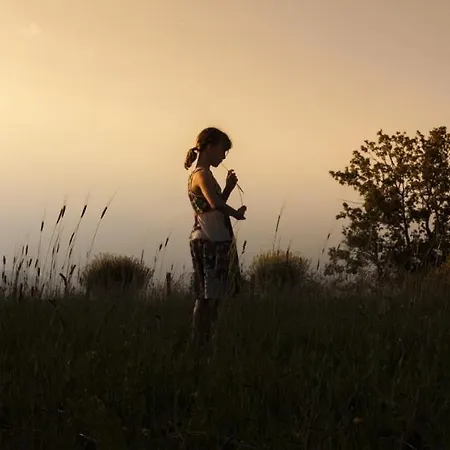 Domaine De Saint-gery - Teritoria Hotel Lascabanes