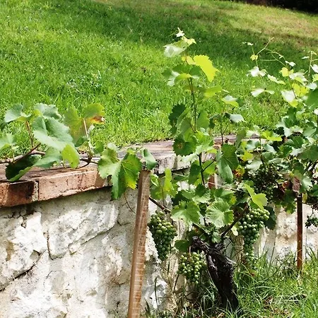 Domaine De Saint-gery - Teritoria فندق 4*