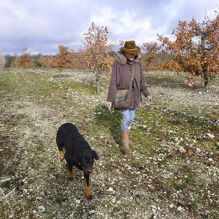 Szálloda Domaine De Saint-gery - Teritoria